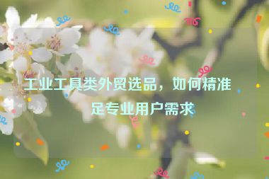 工業(yè)工具類(lèi)外貿(mào)選品，如何精準(zhǔn)滿足專(zhuān)業(yè)用戶需求