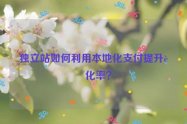 獨(dú)立站如何利用本地化支付提升轉(zhuǎn)化率？