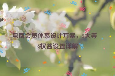 電商會員體系設(shè)計方案，5大等級權(quán)益設(shè)置詳解