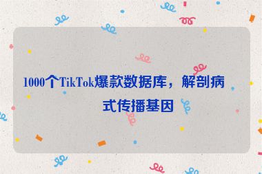 1000個(gè)TikTok爆款數(shù)據(jù)庫(kù)，解剖病毒式傳播基因