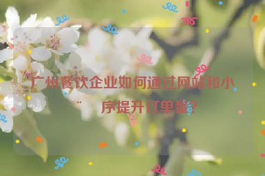 廣州餐飲企業(yè)如何通過網站和小程序提升訂單量？