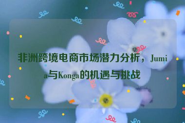 非洲跨境電商市場(chǎng)潛力分析，Jumia與Konga的機(jī)遇與挑戰(zhàn)