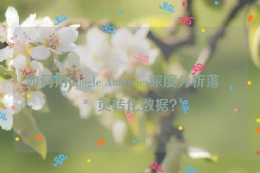 如何用Google Analytics深度分析落地頁(yè)轉(zhuǎn)化數(shù)據(jù)？