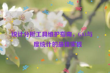 統(tǒng)計(jì)分析工具維護(hù)指南，GA4與百度統(tǒng)計(jì)的最佳實(shí)踐