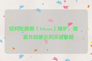 結(jié)構(gòu)化數(shù)據(jù)（Schema）維護，提升富片段展示的關(guān)鍵策略