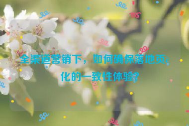 全渠道營銷下，如何確保落地頁轉(zhuǎn)化的一致性體驗？