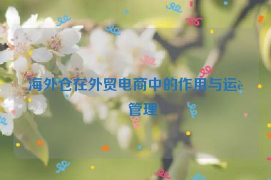 海外倉(cāng)在外貿(mào)電商中的作用與運(yùn)營(yíng)管理