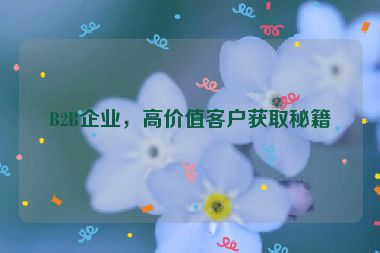 B2B企業(yè)，高價(jià)值客戶獲取秘籍
