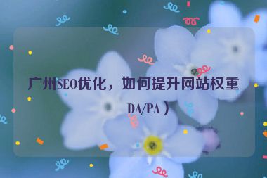 廣州SEO優(yōu)化，如何提升網(wǎng)站權(quán)重（DA/PA）