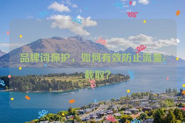 品牌詞保護(hù)，如何有效防止流量被截?。? /></p>
<hr />
<h2 id=