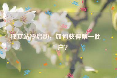 獨(dú)立站冷啟動，如何獲得第一批用戶？