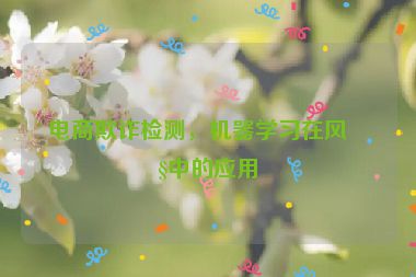 電商欺詐檢測，機器學習在風控中的應用