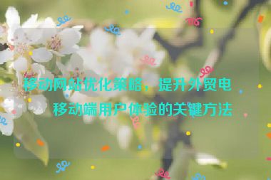 移動網(wǎng)站優(yōu)化策略，提升外貿(mào)電商移動端用戶體驗的關(guān)鍵方法
