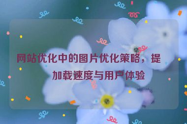 網(wǎng)站優(yōu)化中的圖片優(yōu)化策略，提升加載速度與用戶體驗(yàn)