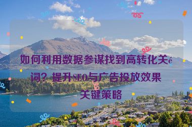 如何利用數(shù)據(jù)參謀找到高轉(zhuǎn)化關(guān)鍵詞？提升SEO與廣告投放效果的關(guān)鍵策略