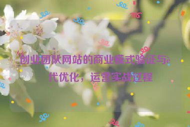 創(chuàng)業(yè)團(tuán)隊(duì)網(wǎng)站的商業(yè)模式驗(yàn)證與迭代優(yōu)化，運(yùn)營(yíng)實(shí)戰(zhàn)過(guò)程
