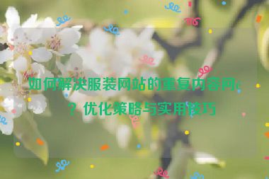 如何解決服裝網(wǎng)站的重復內(nèi)容問題？優(yōu)化策略與實用技巧