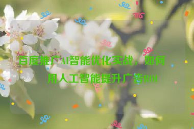 百度推廣AI智能優(yōu)化實(shí)戰(zhàn)，如何利用人工智能提升廣告ROI