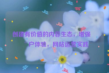 創(chuàng)建有價(jià)值的內(nèi)容生態(tài)，增強(qiáng)用戶體驗(yàn)，網(wǎng)站運(yùn)營實(shí)踐