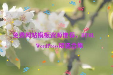 免費網站模板資源推薦，HTML與WordPress精選合集