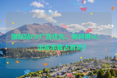 國際站P4P廣告優(yōu)化，如何用$0.5點擊成本霸占首頁？