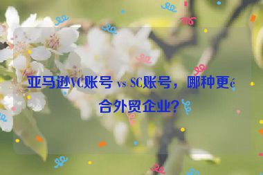 亞馬遜VC賬號 vs SC賬號，哪種更適合外貿(mào)企業(yè)？