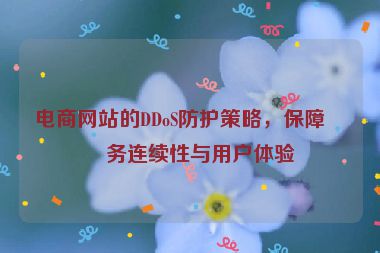 電商網(wǎng)站的DDoS防護(hù)策略，保障業(yè)務(wù)連續(xù)性與用戶體驗(yàn)