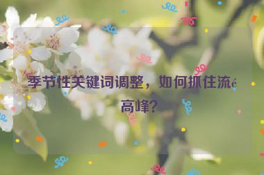 季節(jié)性關(guān)鍵詞調(diào)整，如何抓住流量高峰？