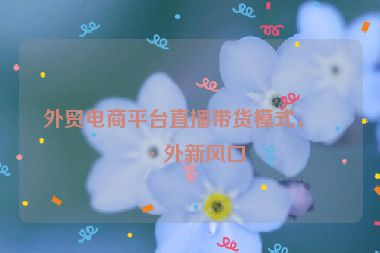 外貿(mào)電商平臺直播帶貨模式，海外新風(fēng)口