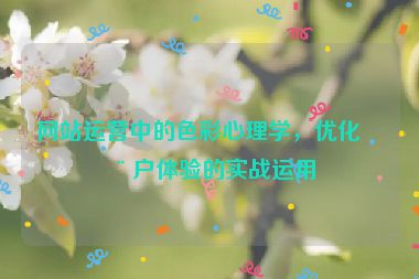 網(wǎng)站運營中的色彩心理學，優(yōu)化用戶體驗的實戰(zhàn)運用
