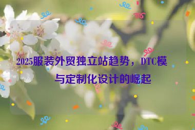 2025服裝外貿(mào)獨立站趨勢，DTC模式與定制化設計的崛起