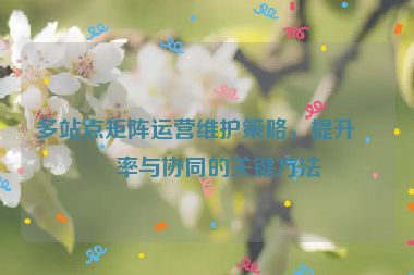 多站點(diǎn)矩陣運(yùn)營(yíng)維護(hù)策略，提升效率與協(xié)同的關(guān)鍵方法