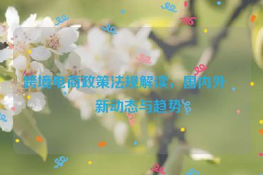 跨境電商政策法規(guī)解讀，國內(nèi)外最新動態(tài)與趨勢