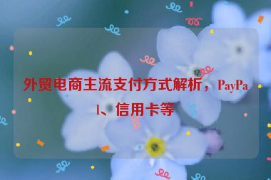 外貿(mào)電商主流支付方式解析，PayPal、信用卡等