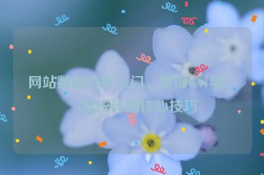 網(wǎng)站數(shù)據(jù)分析入門，掌握GA4與百度統(tǒng)計(jì)的核心技巧