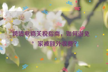 跨境電商關(guān)稅指南，如何避免買(mǎi)家被額外收費(fèi)？