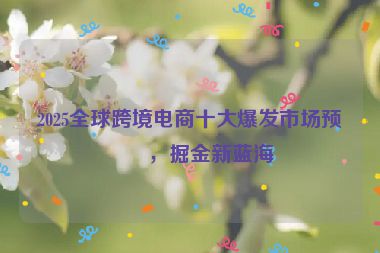 2025全球跨境電商十大爆發(fā)市場(chǎng)預(yù)測(cè)，掘金新藍(lán)海