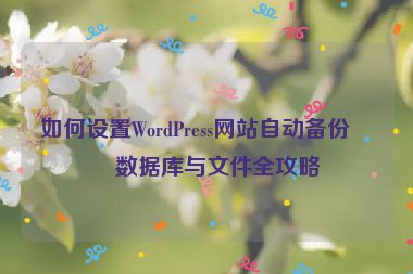 如何設(shè)置WordPress網(wǎng)站自動(dòng)備份，數(shù)據(jù)庫(kù)與文件全攻略