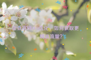 企業(yè)官網SEO優(yōu)化，如何獲取更多精準流量？