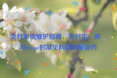 支付系統(tǒng)維護指南，支付寶、微信與Stripe的常見問題及解決方案