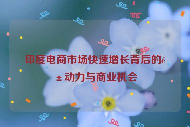 印度電商市場快速增長背后的驅(qū)動力與商業(yè)機會