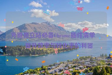外貿(mào)獨立站必備Chrome插件清單，提升效率與轉(zhuǎn)化率的利器
