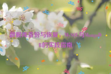 數(shù)據(jù)庫備份與恢復(fù)，MySQL與MongoDB的實(shí)踐指南