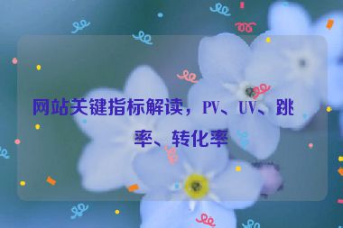 網(wǎng)站關(guān)鍵指標(biāo)解讀，PV、UV、跳出率、轉(zhuǎn)化率