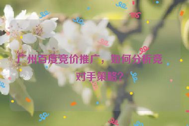 廣州百度競價推廣，如何分析競爭對手策略？