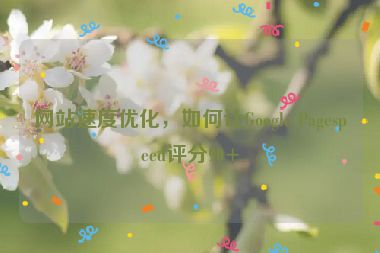 網(wǎng)站速度優(yōu)化，如何讓Google Pagespeed評分90+