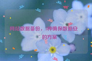 網(wǎng)站數(shù)據(jù)備份，3種確保數(shù)據(jù)安全的方案