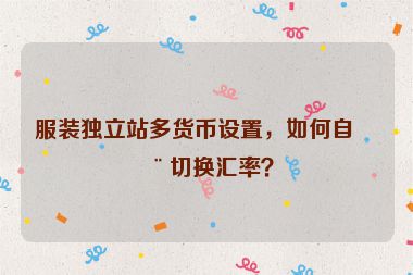 服裝獨(dú)立站多貨幣設(shè)置，如何自動(dòng)切換匯率？