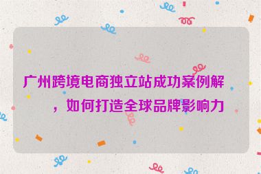 廣州跨境電商獨立站成功案例解析，如何打造全球品牌影響力