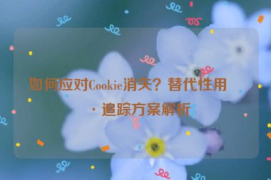 如何應(yīng)對(duì)Cookie消失？替代性用戶追蹤方案解析